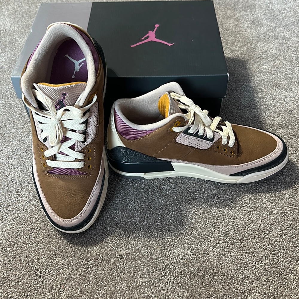 Nike Air Jordan 3 retro SE